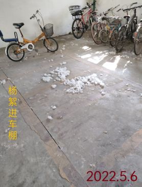 杨絮进车棚