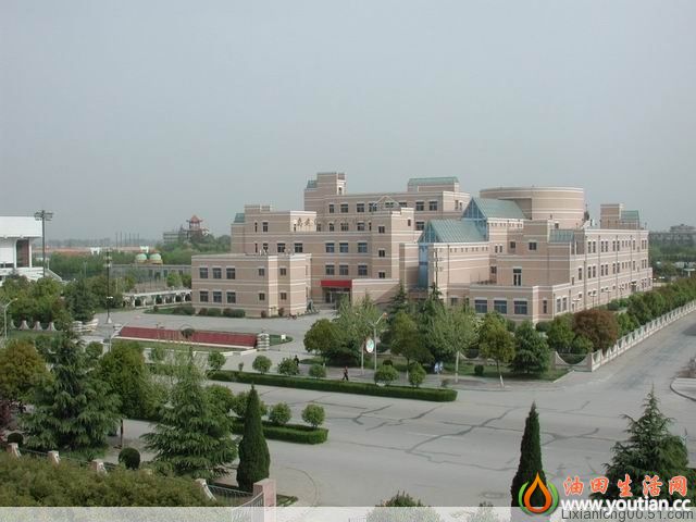 73.jpg