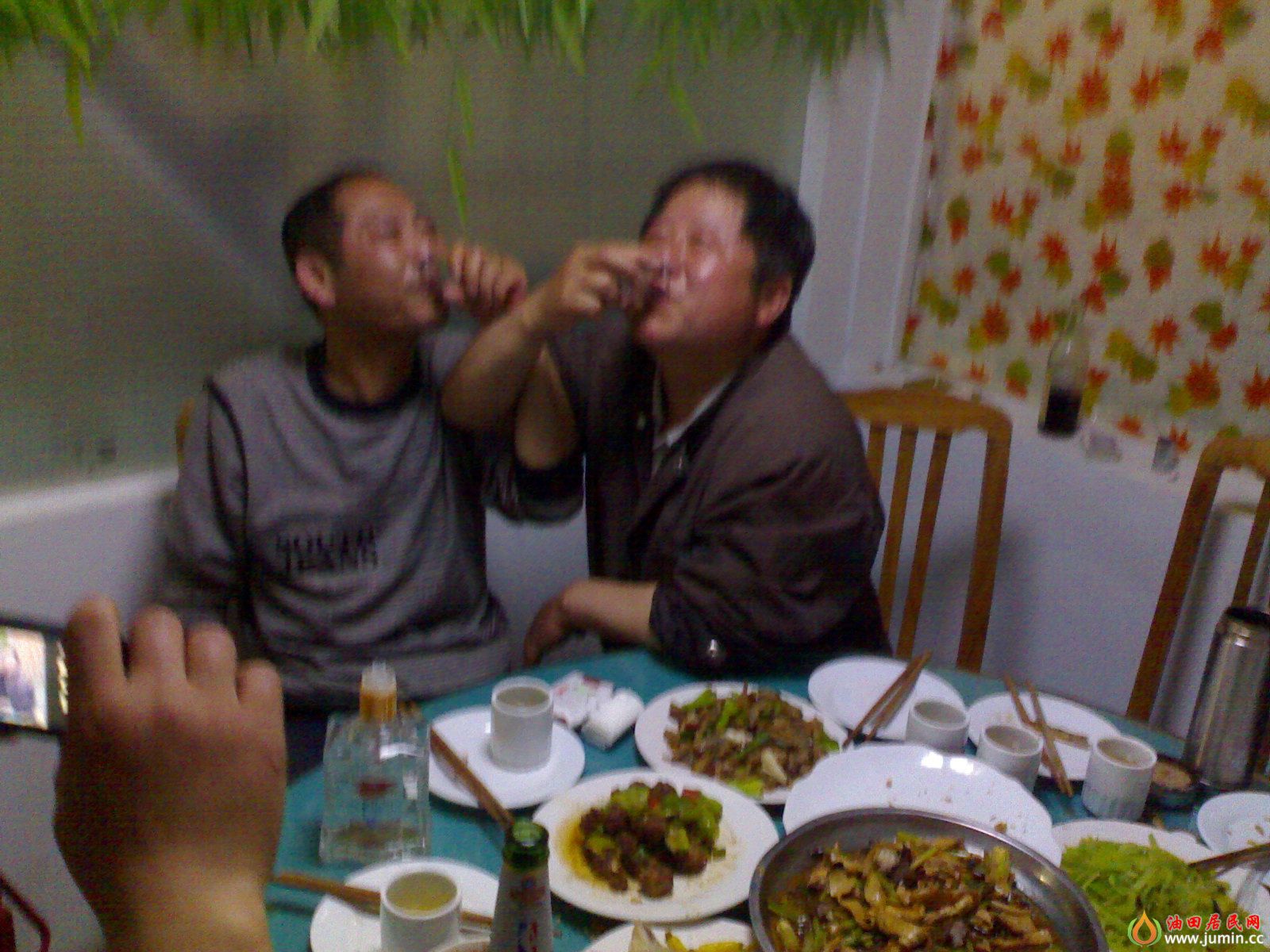 20110427113.jpg