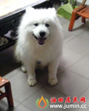 RJ(L9FS{CE}B}77D_$SPWZC.jpg