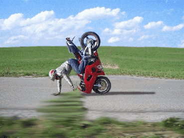 11.gif