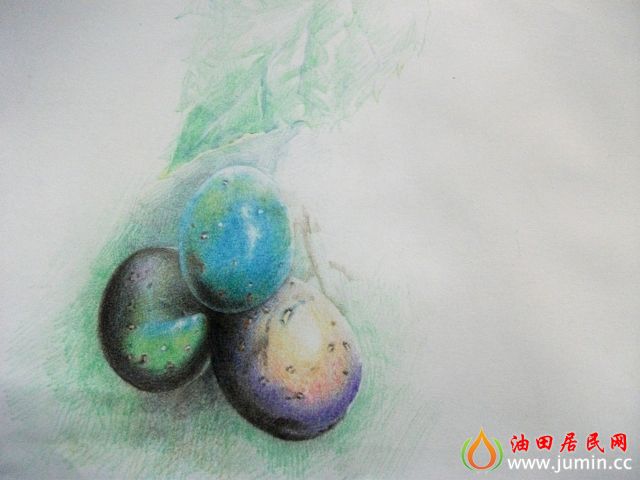 照片 005.jpg