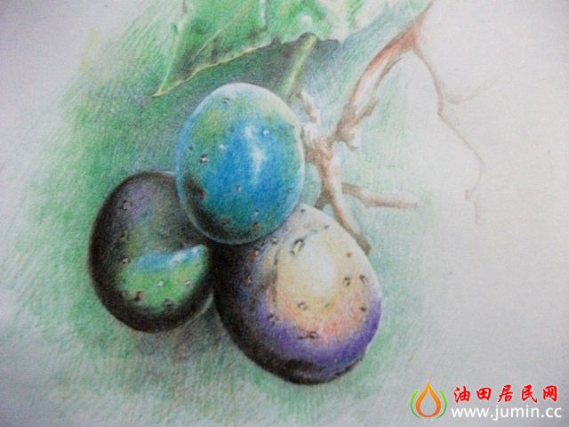 照片 006.jpg