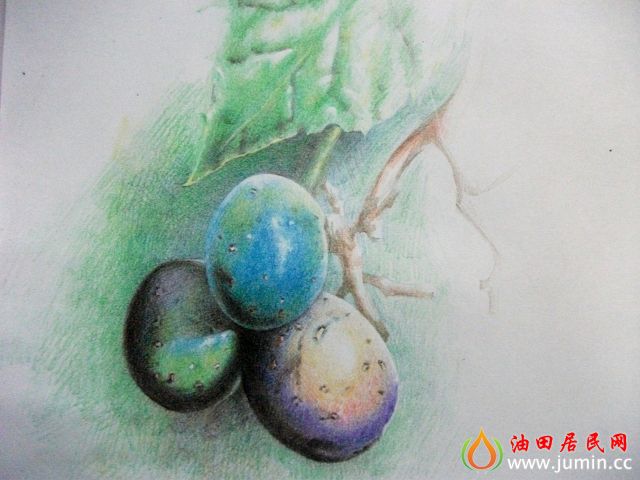 照片 007.jpg