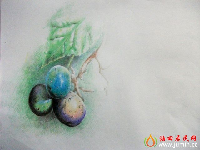 照片 008.jpg