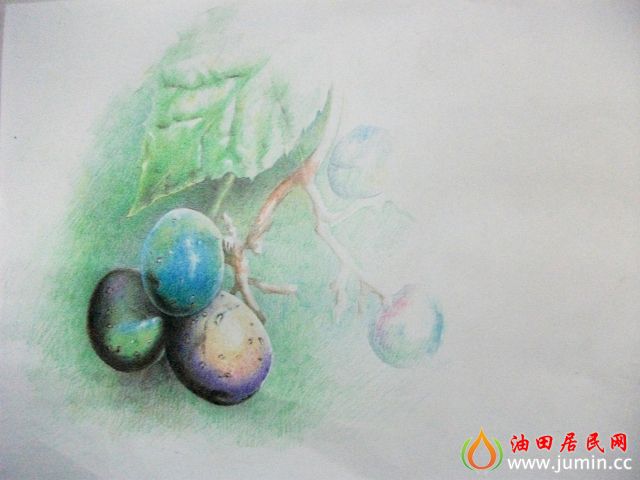 照片 009.jpg