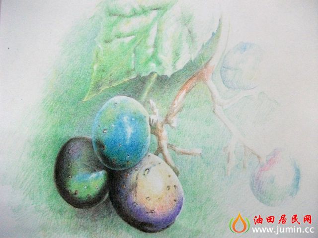 照片 010.jpg