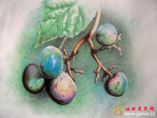 照片 019.jpg