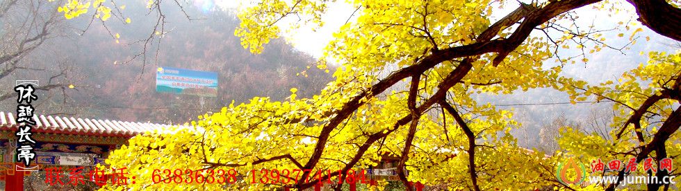 20100309111116706[1]_副本5.jpg