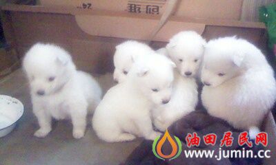 IMG0031A.jpg