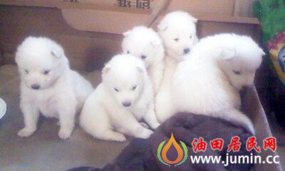 IMG0032A.jpg