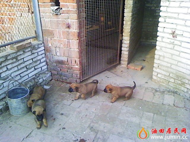photo_654_4.jpg