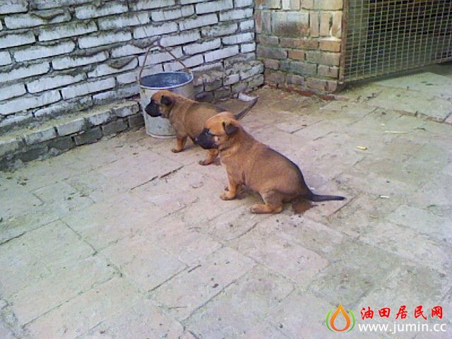 photo_657_2.jpg