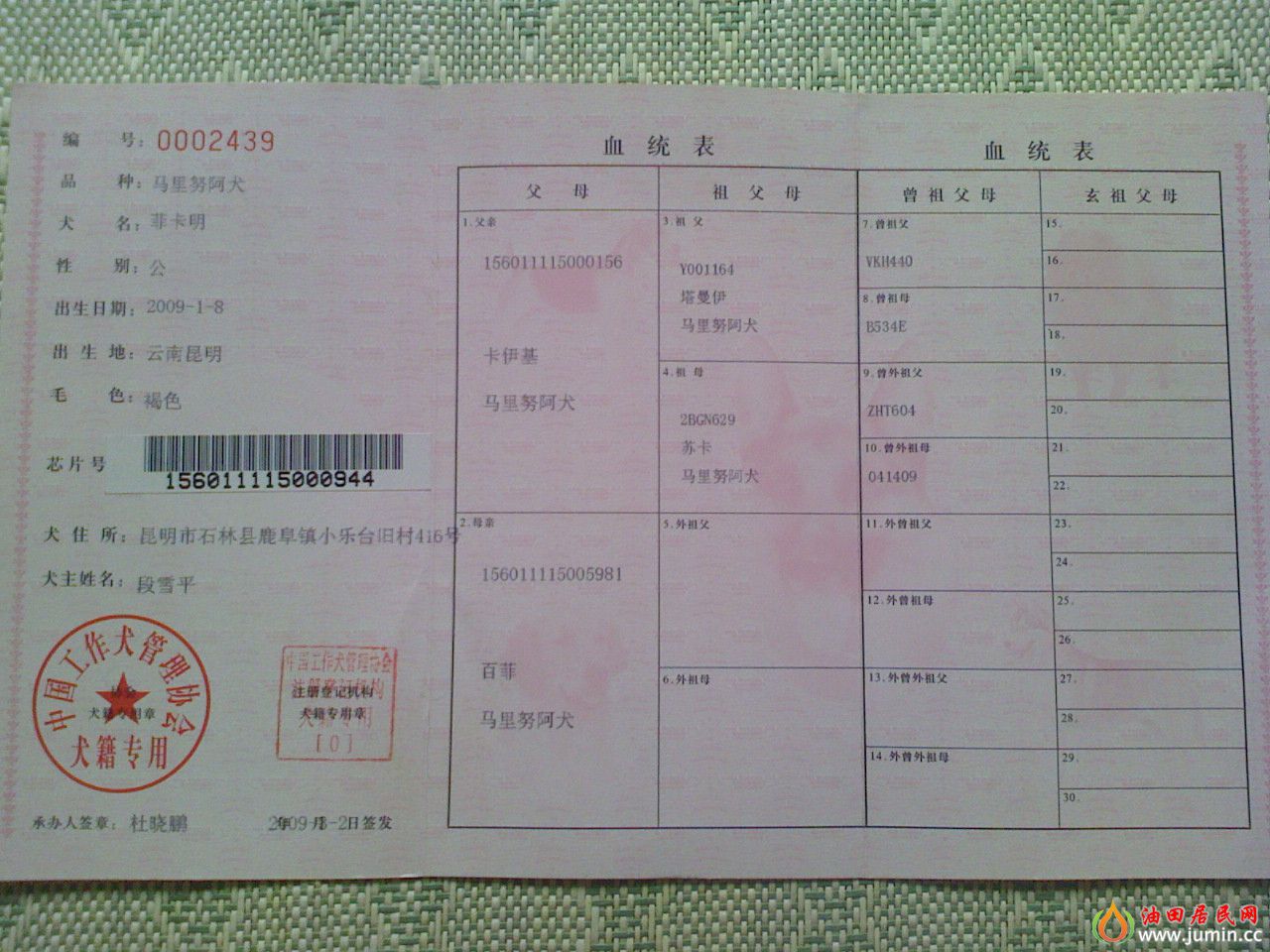 photo201.jpg