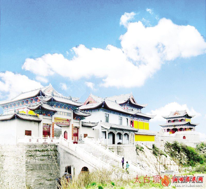 桐柏59.jpg