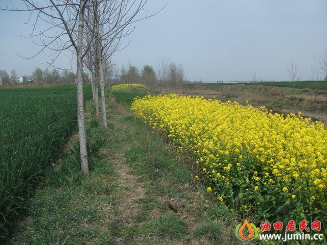 照片 240.jpg