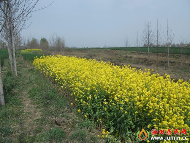 照片 239.jpg