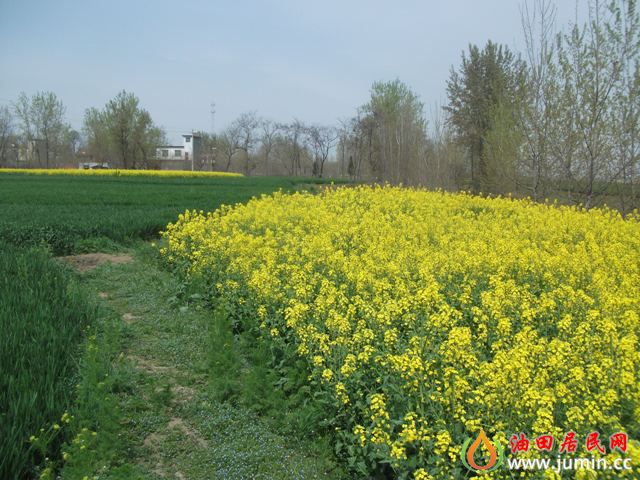 照片 242.jpg