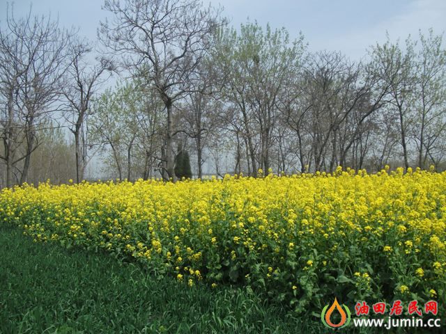 照片 248.jpg