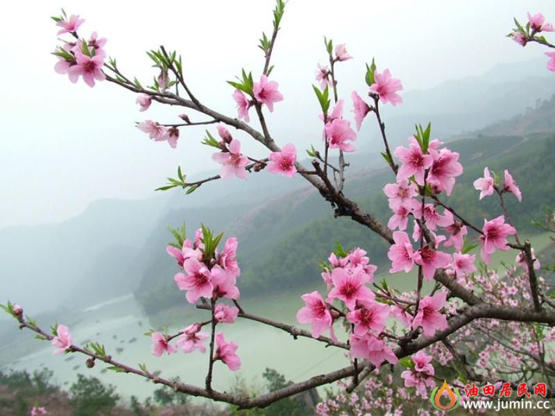 20100416_a90548f2-bac5-4116-bdbe-9ff98e11e007.jpg