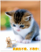 psb猫.gif
