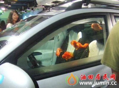 psb开车.jpg