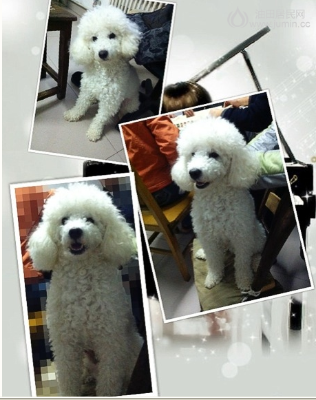 QQ截图20130212010313.png