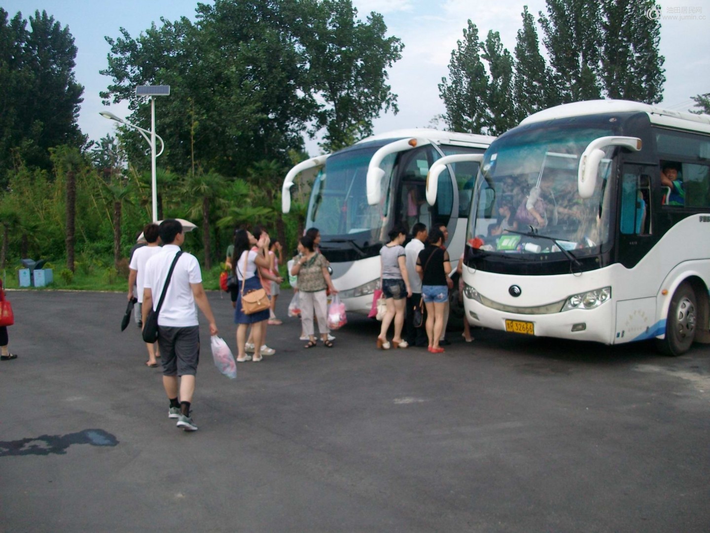 ALIM8032.JPG