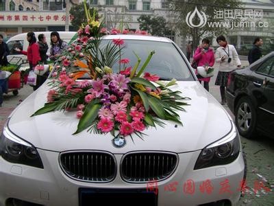 u=561203728,3795689956&amp;fm=23&amp;gp=0.jpg