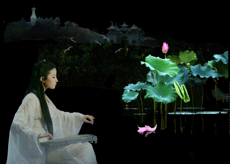 弹琴.gif