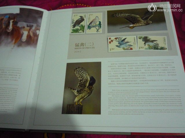 P1040519.JPG