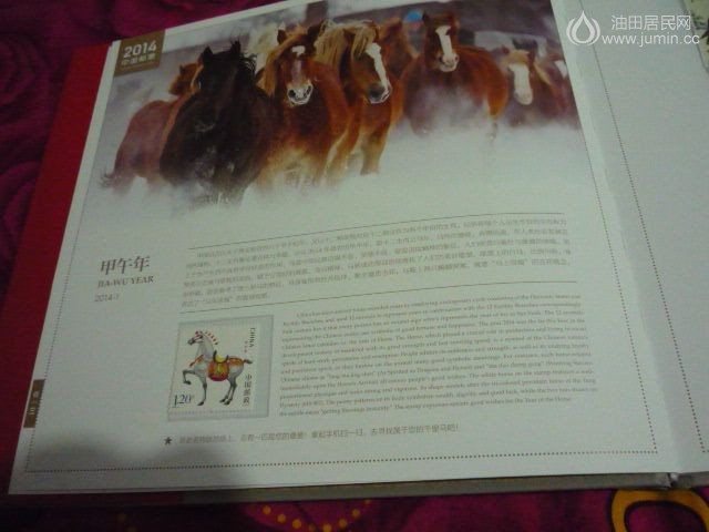 P1040520.JPG