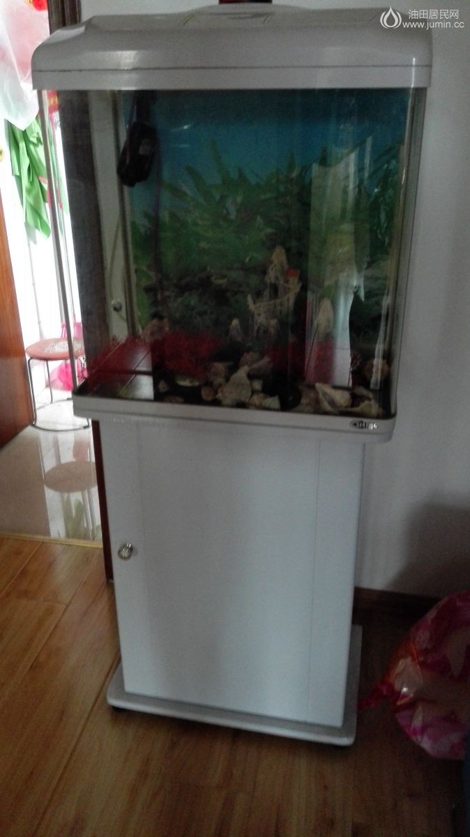 分体鱼缸150元带全套配件，静音气泵，海螺，小石头