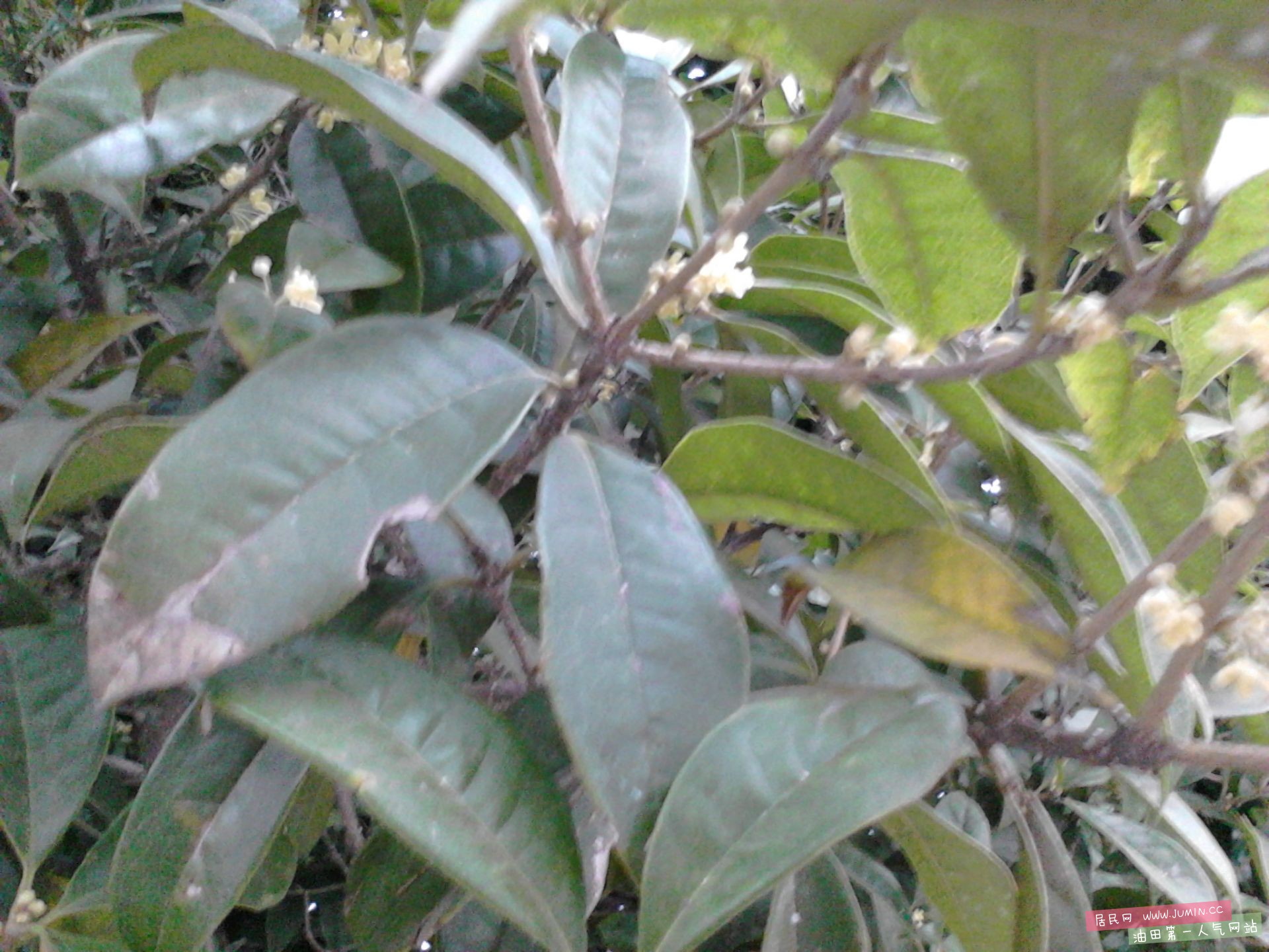 IMG_20150921_062917.jpg