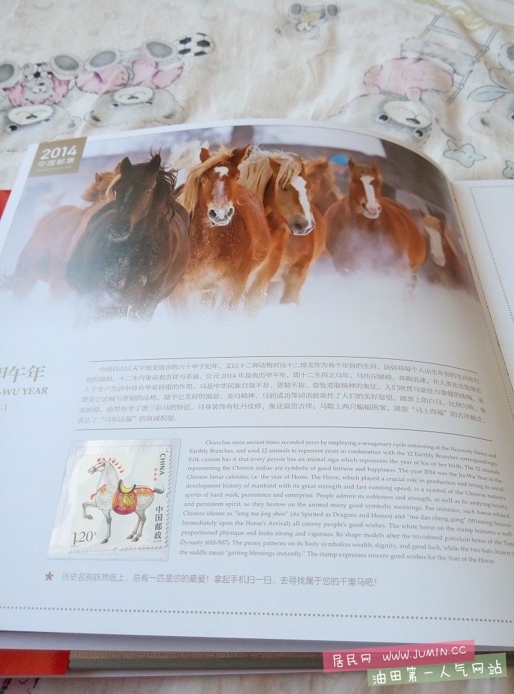 P51004-174838.jpg