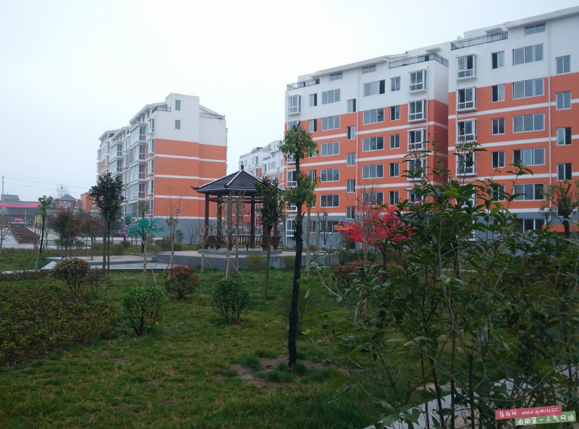 03.jpg