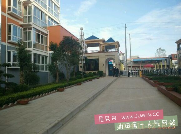 05.jpg