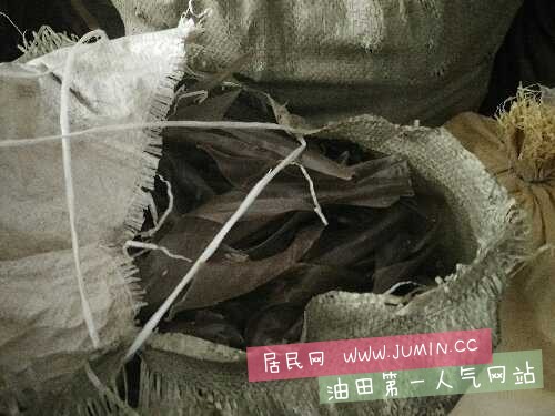 IMG20151029084032.jpg