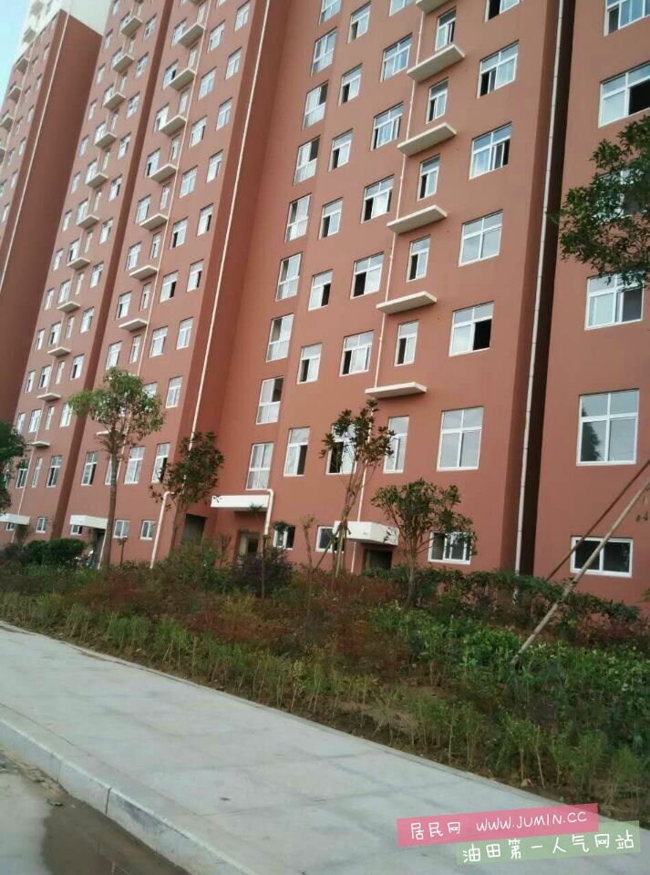 楼前绿化