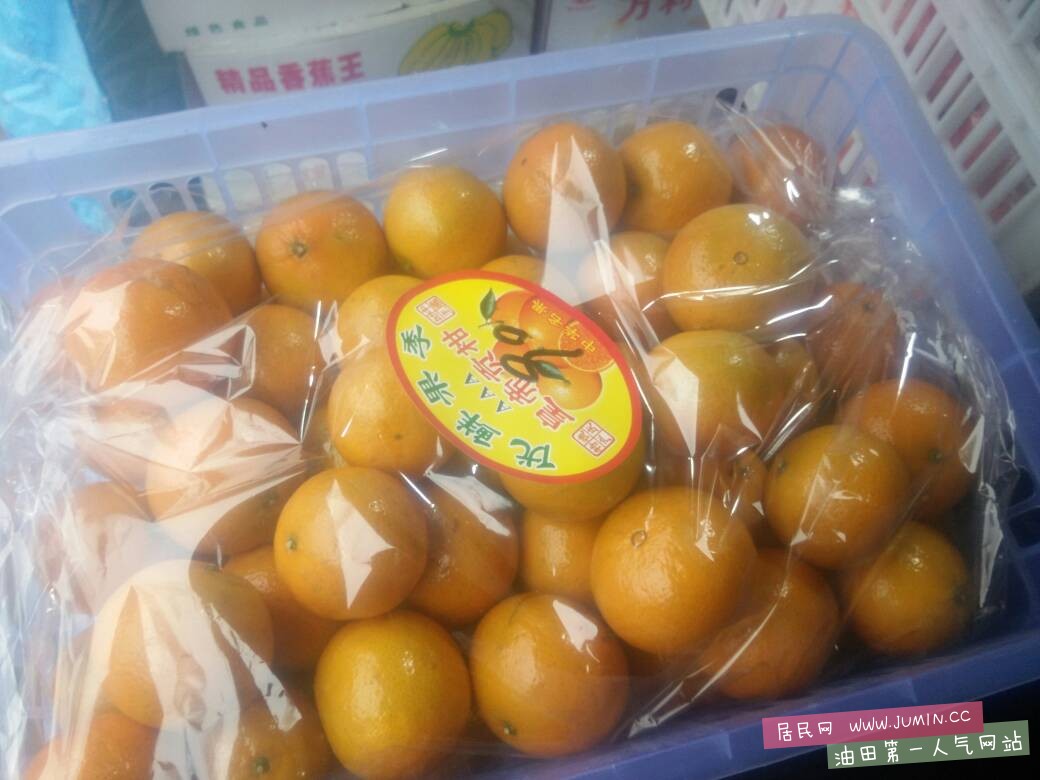 083832h11uqyfu9jcjujf1.jpg