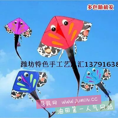 381558372.jpg