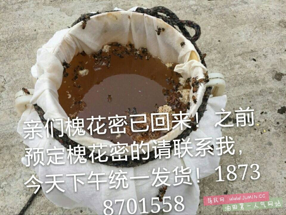 071534tcw55xtynyt4544x.jpg