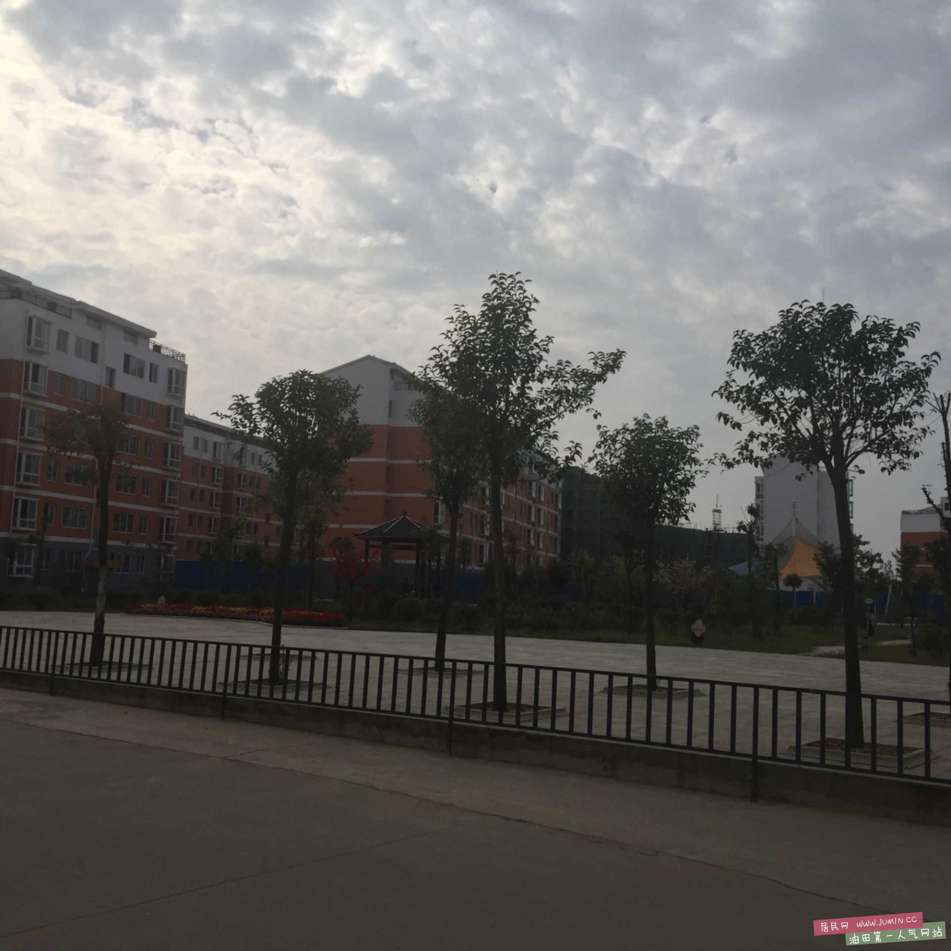 image.jpg