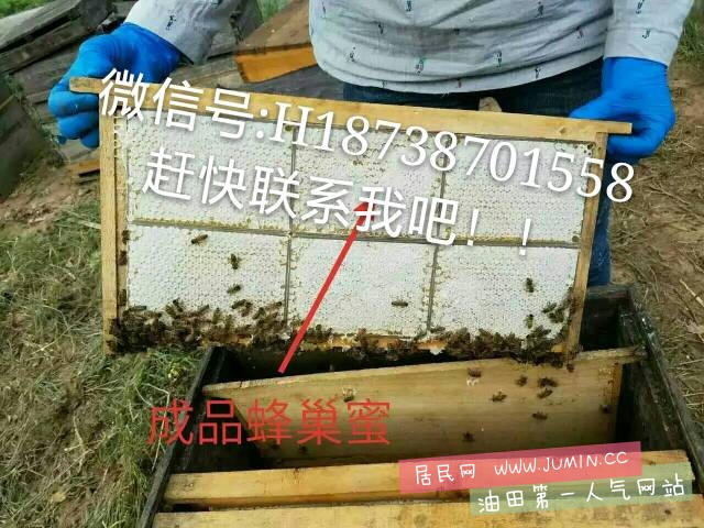 152314bm9npm591mf9p0xf.jpg