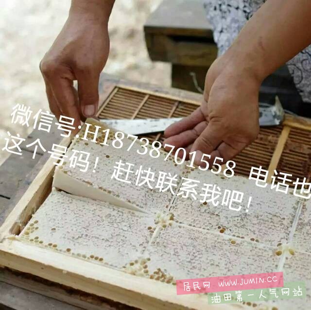 142554rknbinjdiuswfnuk.jpg