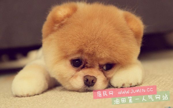 20130118175207_QYMx3.thumb.600_0.jpeg