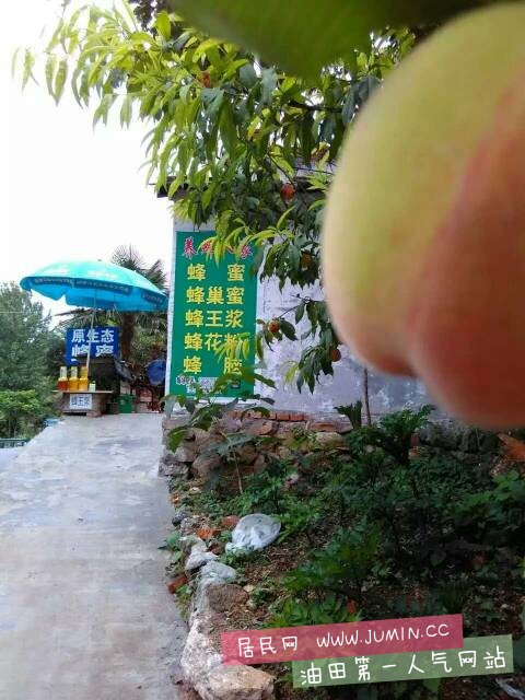053940edxdxd821zyjxzbq.jpg