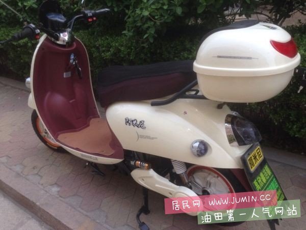 阿米尼小龟图3.jpg