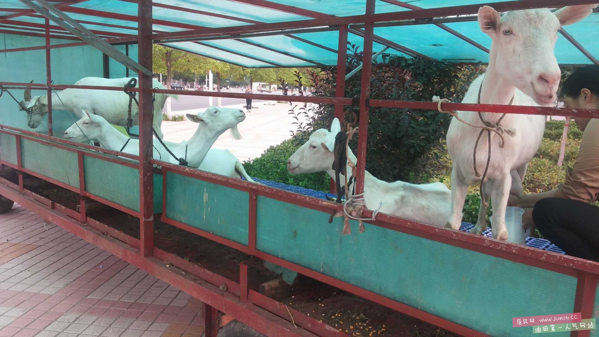 20160623_062631.jpg