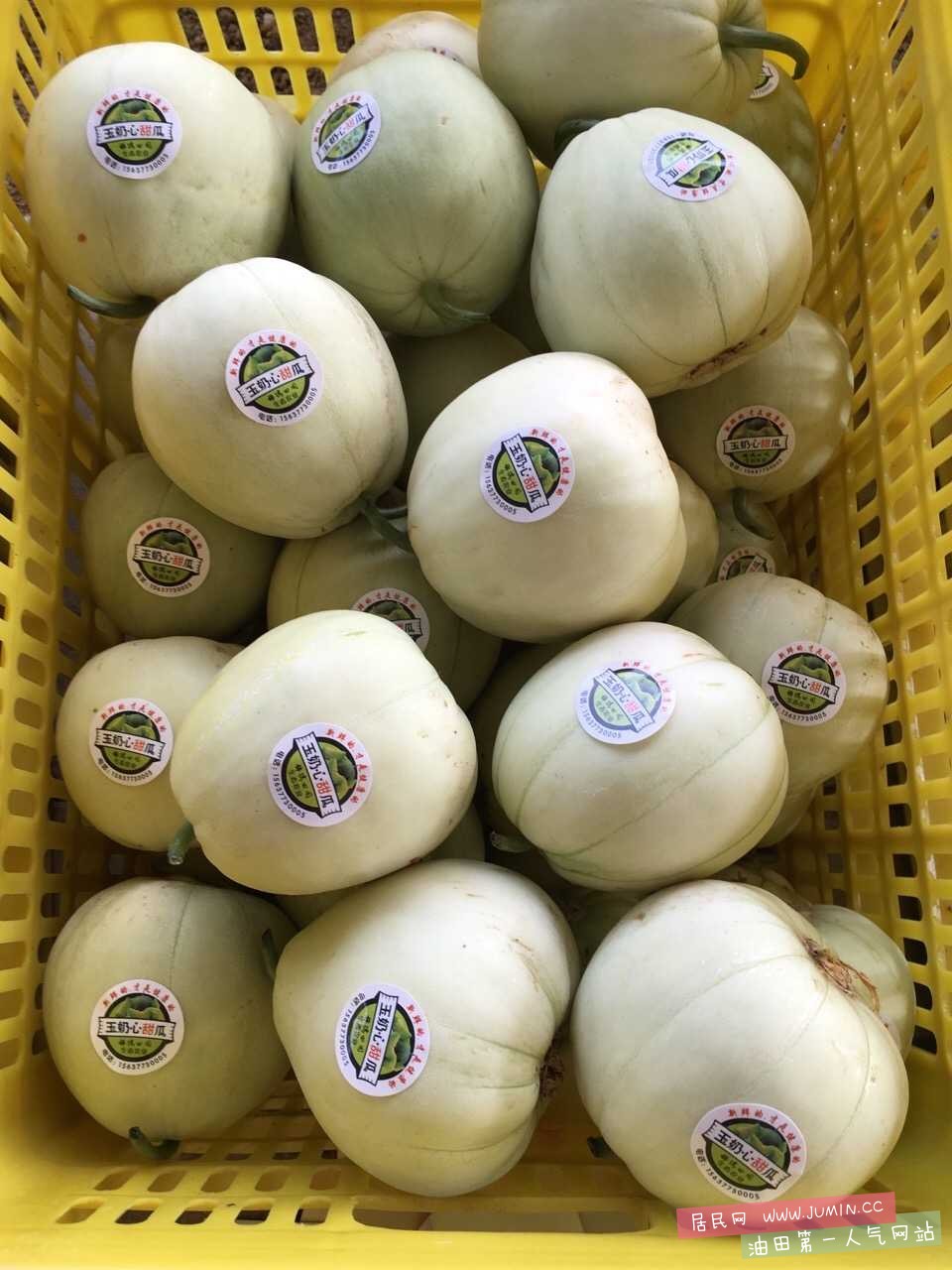 image.jpeg